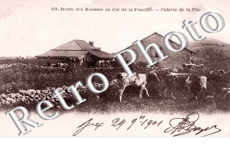 Route des Rousses au col de la Faucille - chalets de la pile