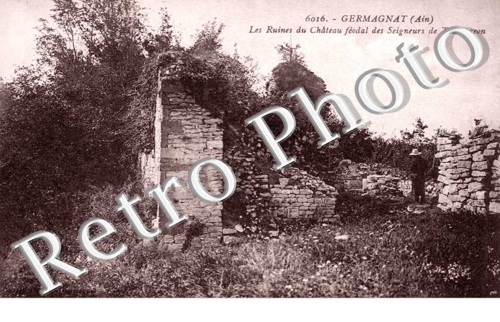 Ruines du Château féodal des Seigneurs de Toulongeon