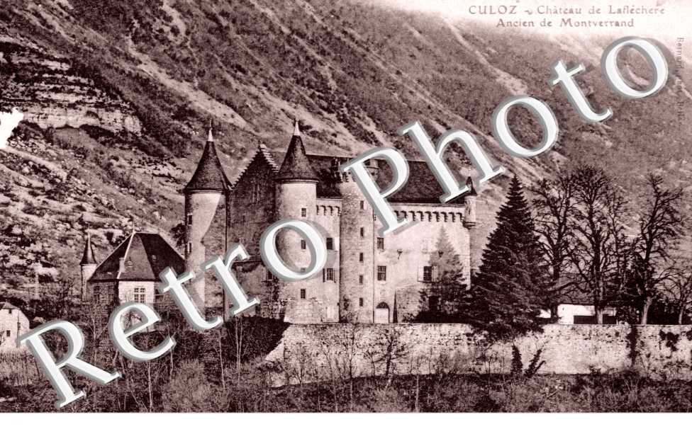 chateau de la flechere