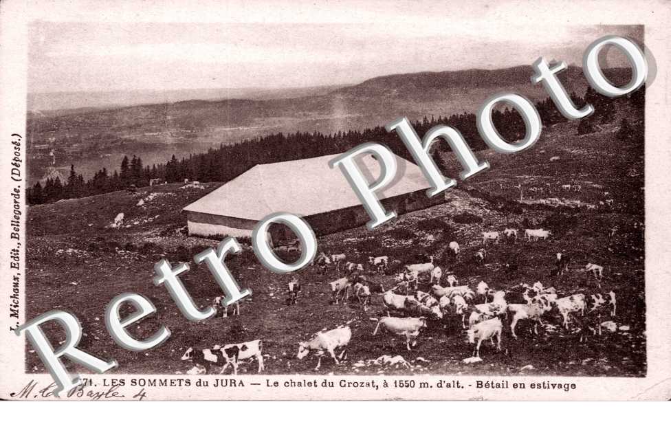 Chalet du Crozat - betail en estivage