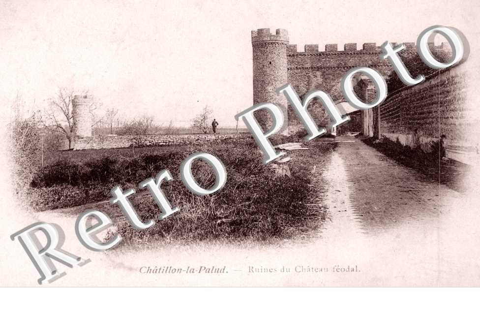 Ruines du Chateau feodal