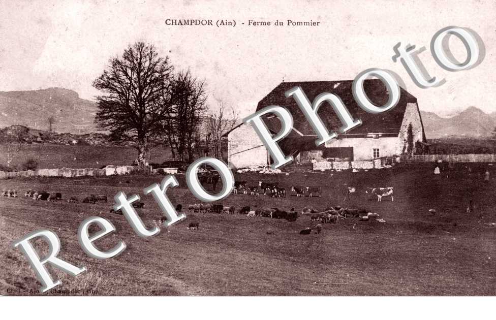 Ferme du Pommier