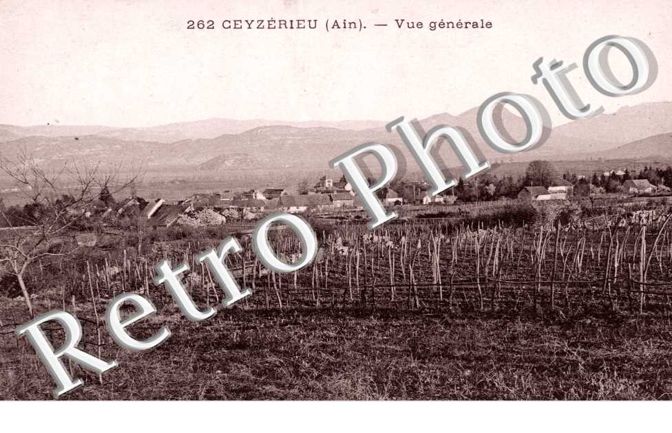 Vue generale