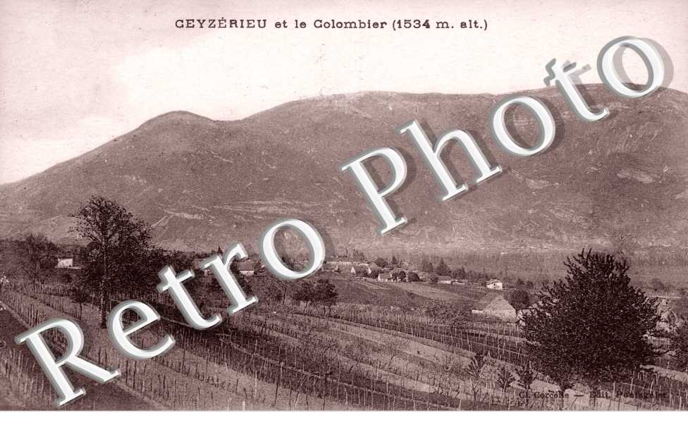 Le Colombier