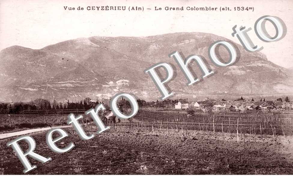 Le Grand Colombier