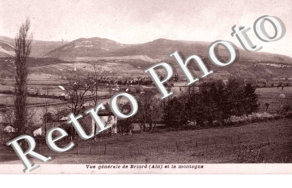 Vue generale et la montagne