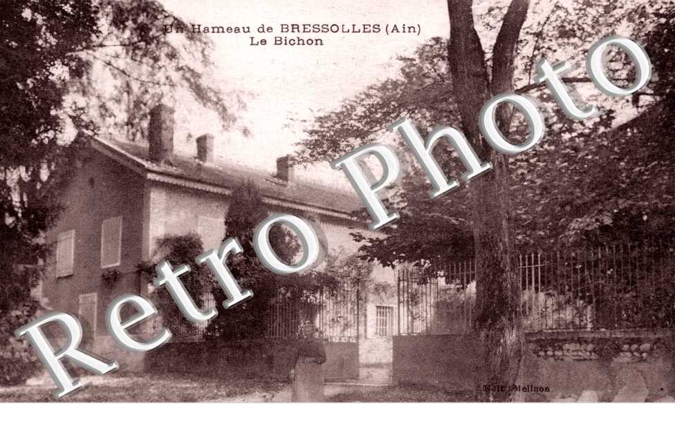 Le Bichon