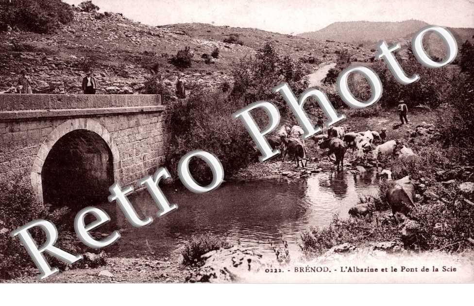 L'Albarine et le Pont de la Scie