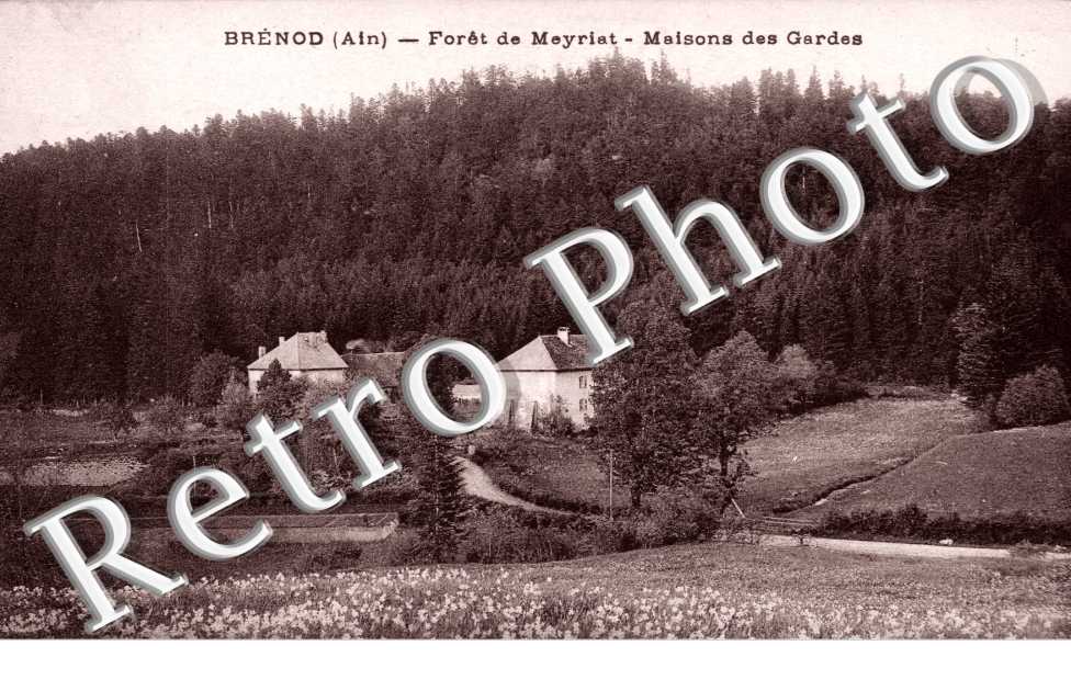 Foret de Meyriat, Maisons des Cadres