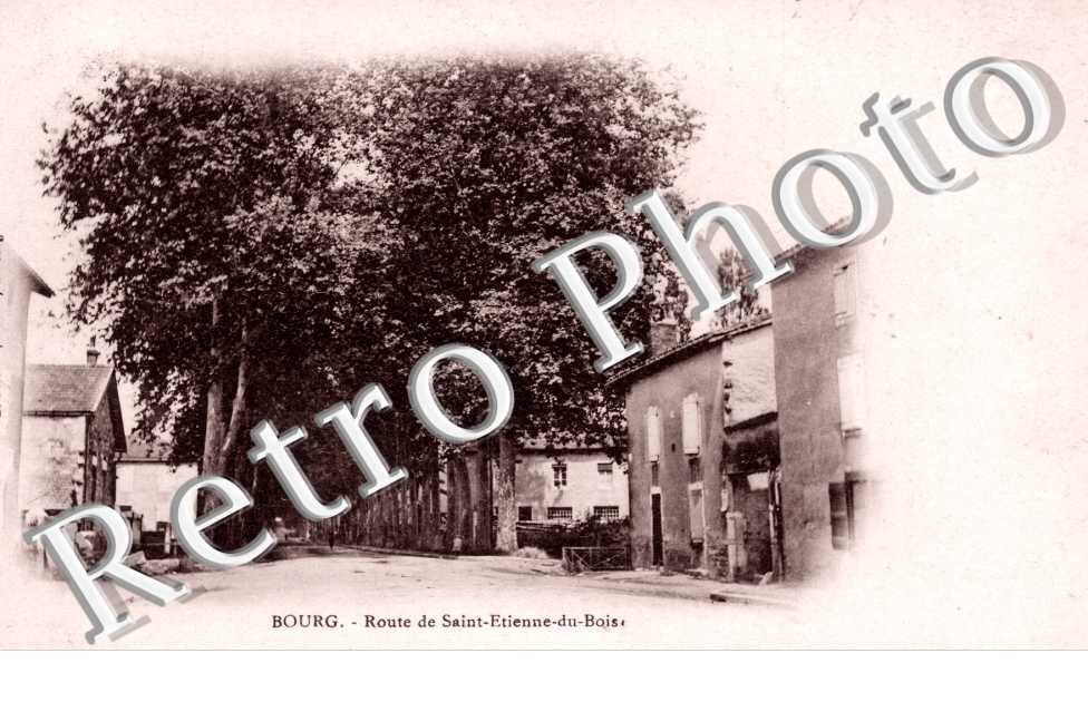 Route de Saint-Etienne du Bois