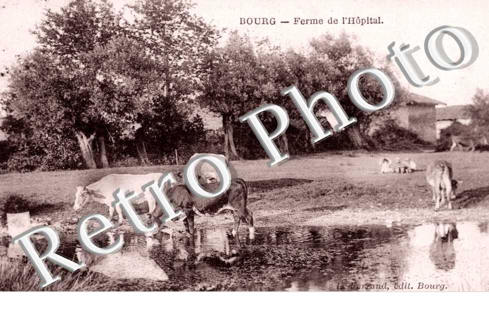 Ferme de l'hopital