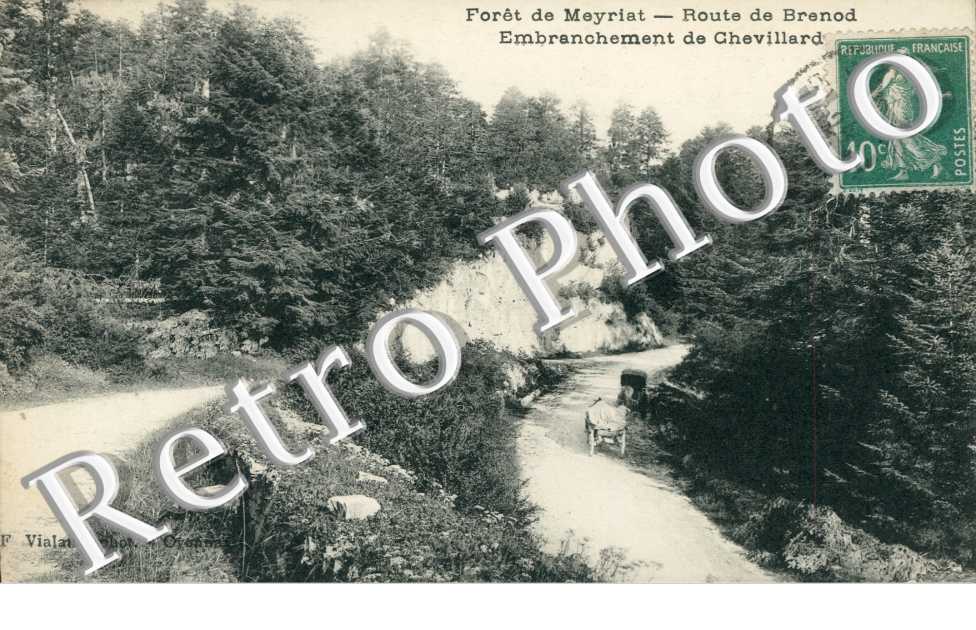 Foret de Meyriat Route de Brenod - embranchement de Chevillard