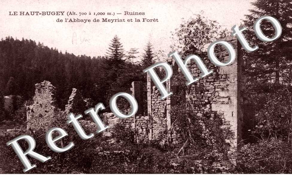 Ruines de l'abbaye de Meyriat et la foret