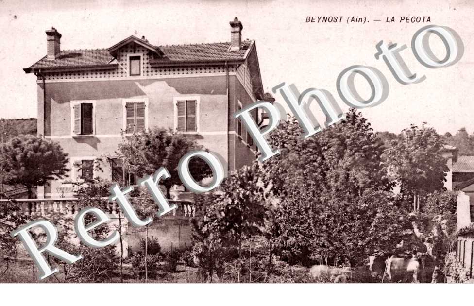 La Pecota