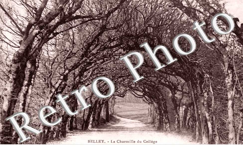 la charmille du college