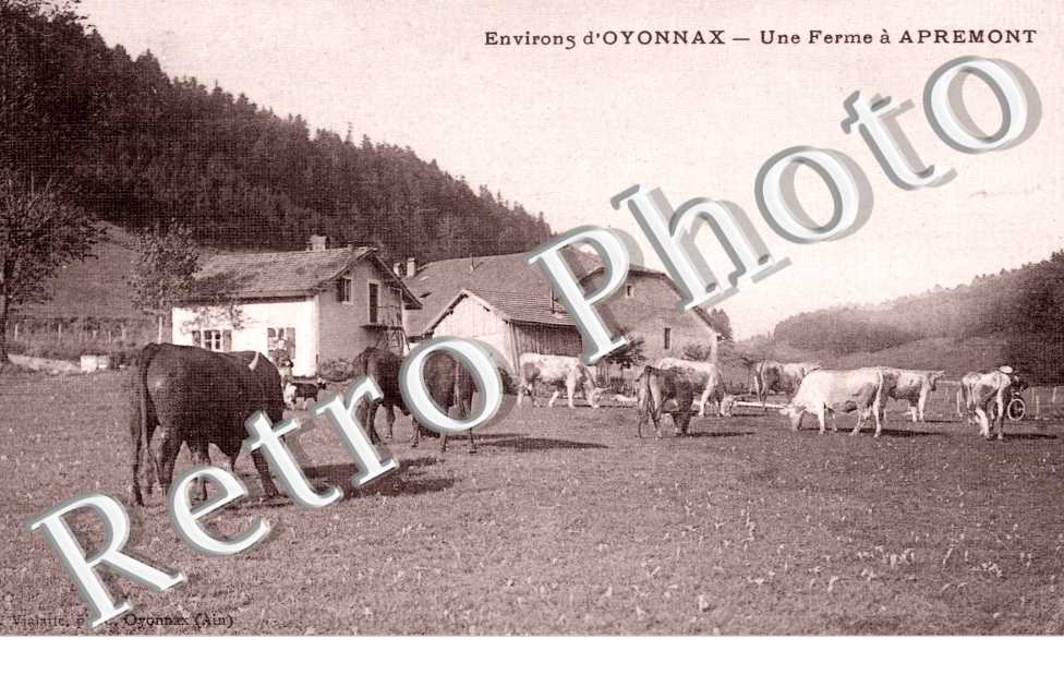 Une Ferme