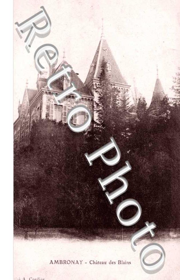 Chateau de Blains