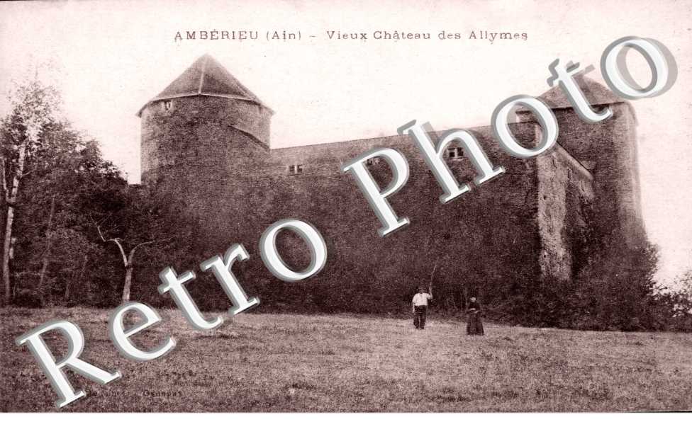 Vieux Chateau des Allymes