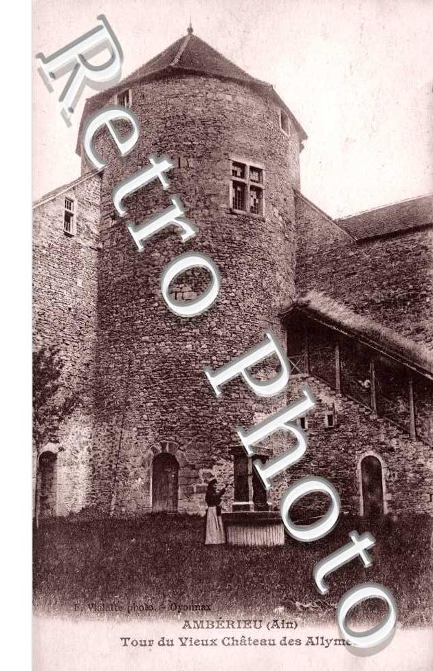 Tour du Vieux Chateau des Allymes