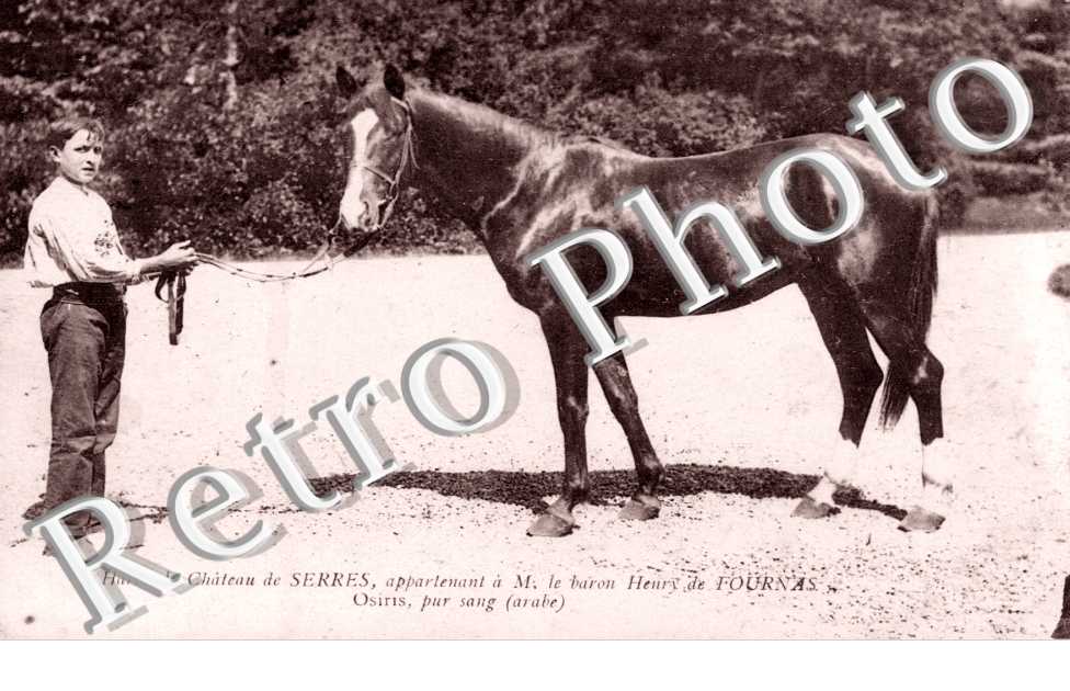 Haras du Chateau de Serres appartenant a Monsieur le Baron Henry de Fournas
