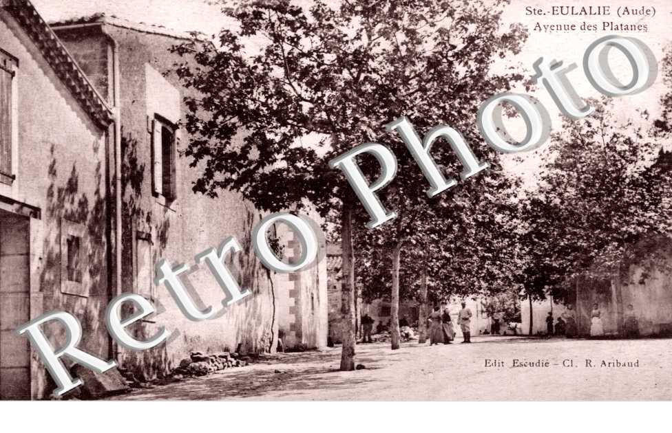 Avenue des Platanes