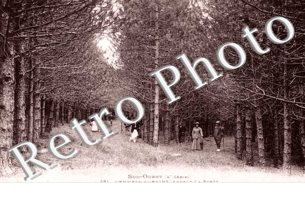 La Foret