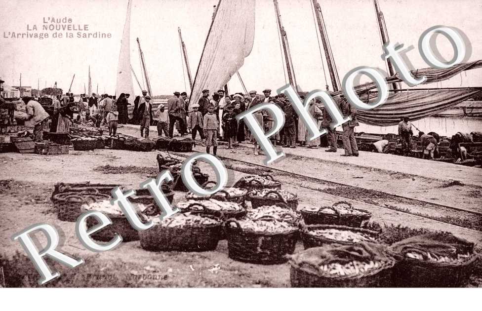 l'Arrivage de la Sardine