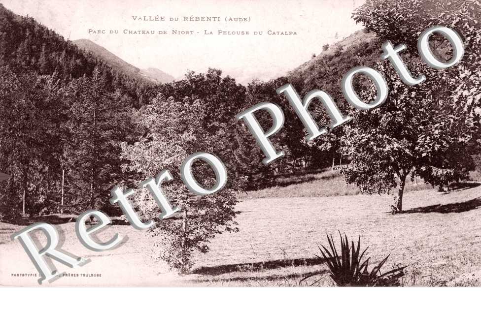 Parc du Château - La Pelouse du Catalpa