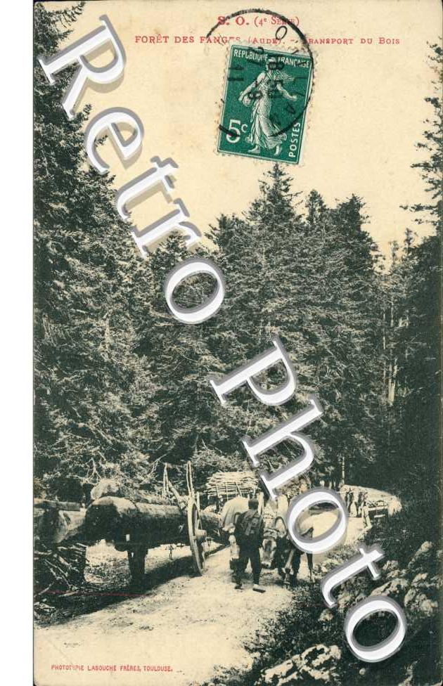 Transport de Bois, Foret des Fanges