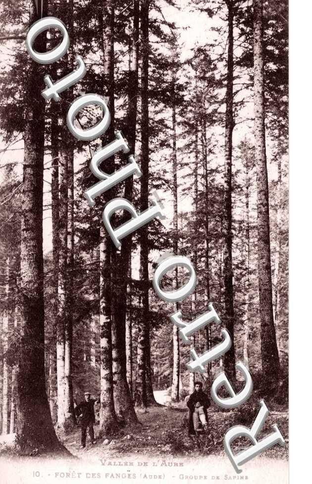 La Forêt