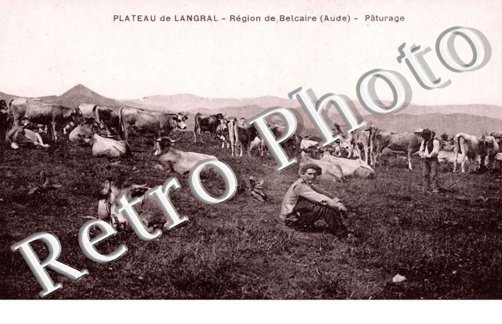 Paturage