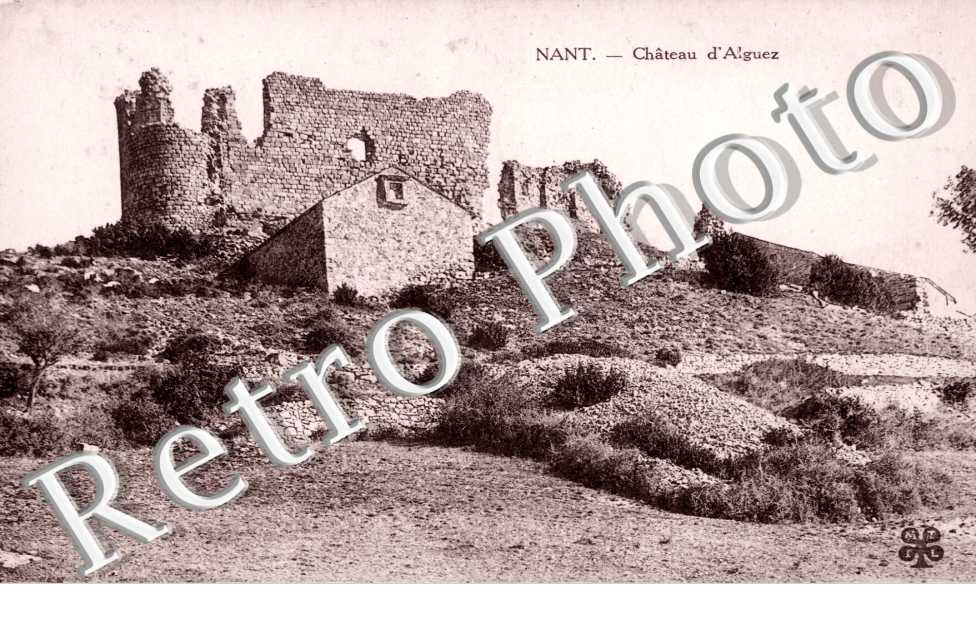 Chateau d'Alguez