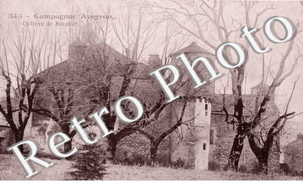 Chateau de Beaufort