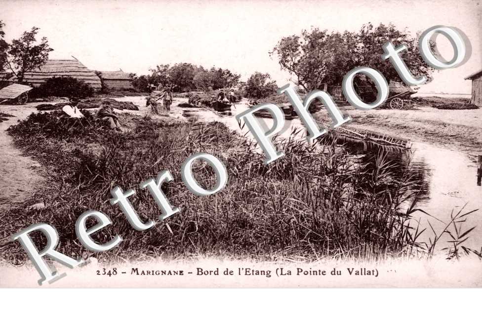 Bord de l'Etang