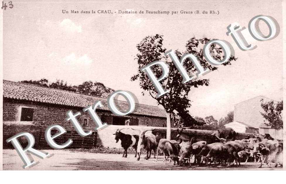 Domaine de Beauchamp
