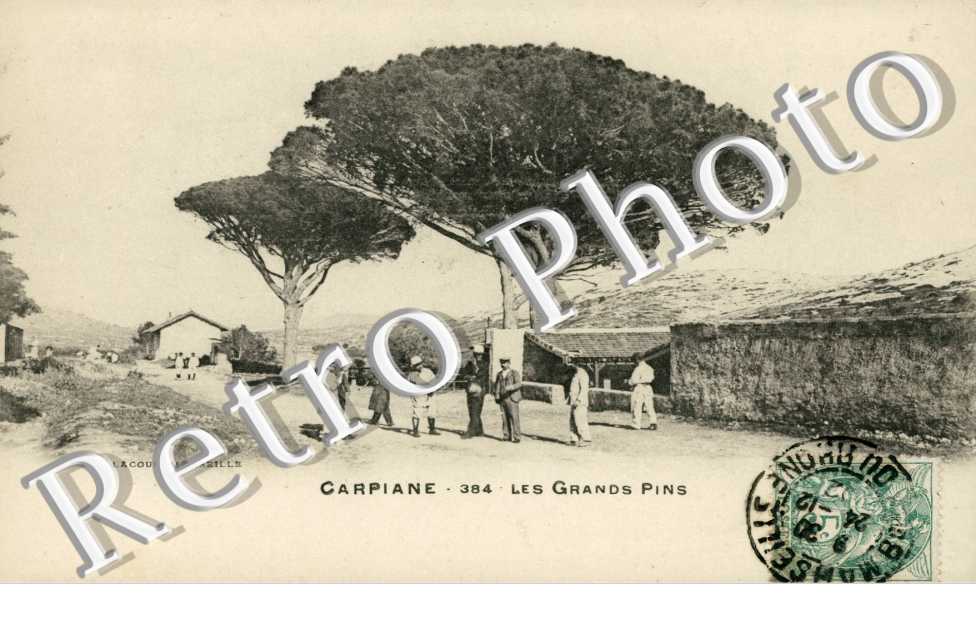 les grands pins