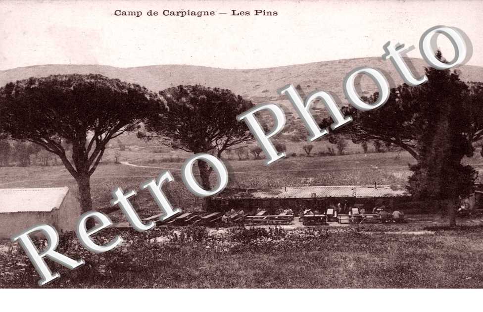 les pins