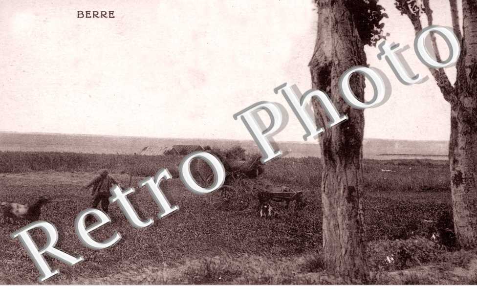 ( scene des Champs )