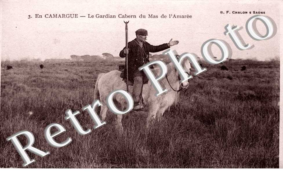 Le Gardian Cabern du Mas de l'Amaree