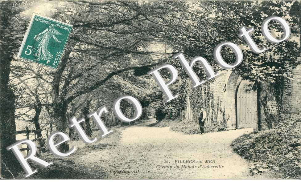 Chemin du manoir d'Auberville