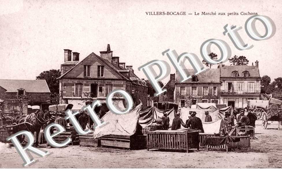 le marche aux petits cochons