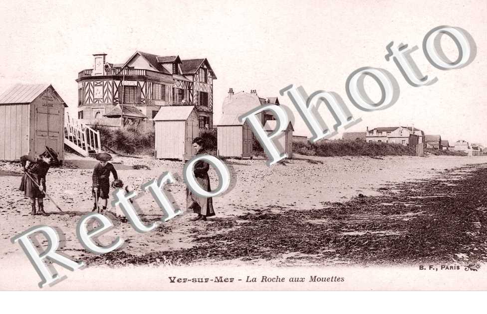 la Roche aux Mouettes