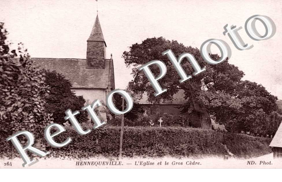 Hennequeville - l'Eglise et le gros cedre