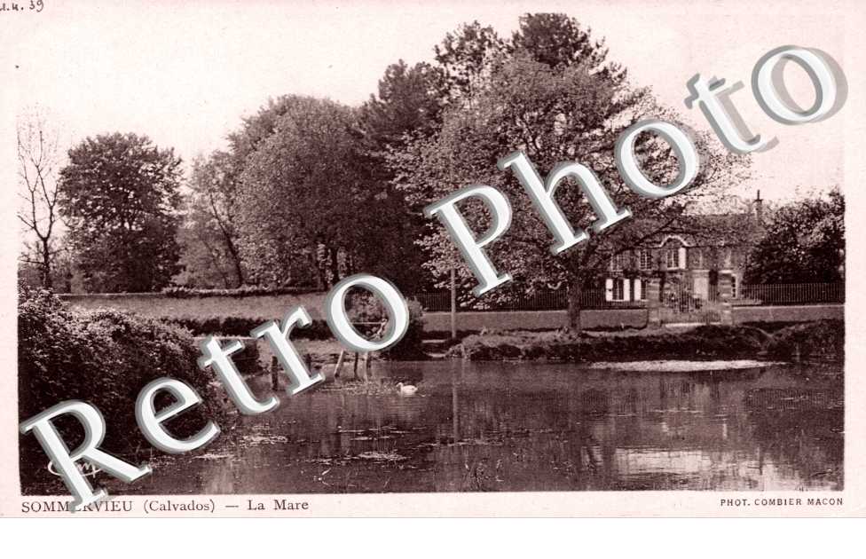 La mare