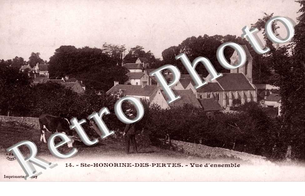 St Honorine des Pertes - vue d'ensemble