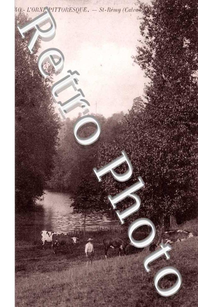 (Bords de l'Orne)