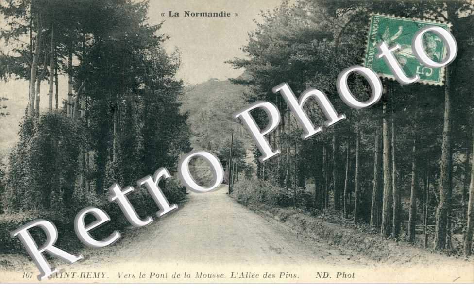 Vers le pont de la Mousse - allee des pins