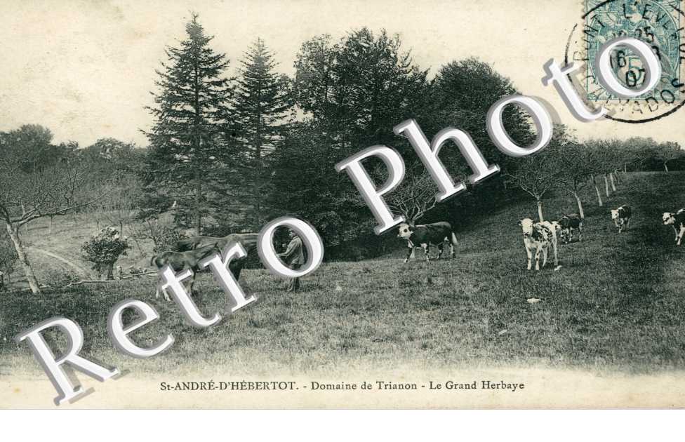 Domaine de Trianon - le grand Herbaye