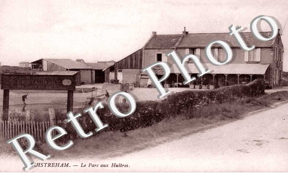 Le parc a huitres - ostreiculture