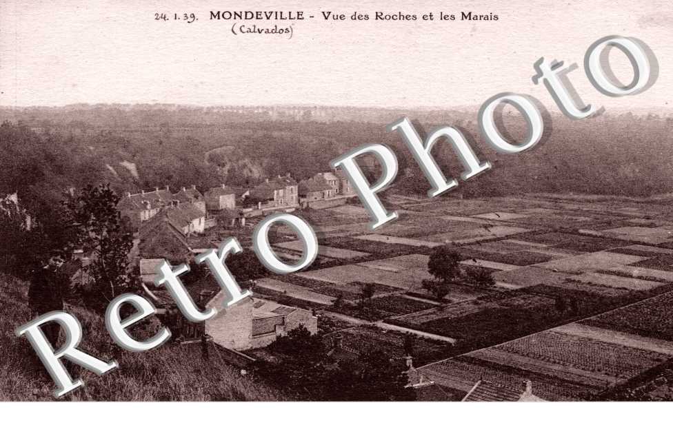 Vue des rochers et les marais